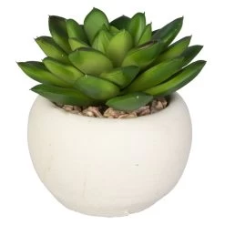 Mini-Sukkulente - 1 Stück 13 Mini-Sukkulente - 1 Stück -Keeeper Store 199043 6 neu