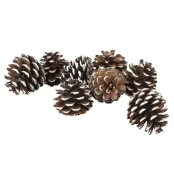 Tannenzapfen Mit Kunstschnee - Aus Holz - Ca. 6 Cm - 8 Stück -Keeeper Store 211253 neu