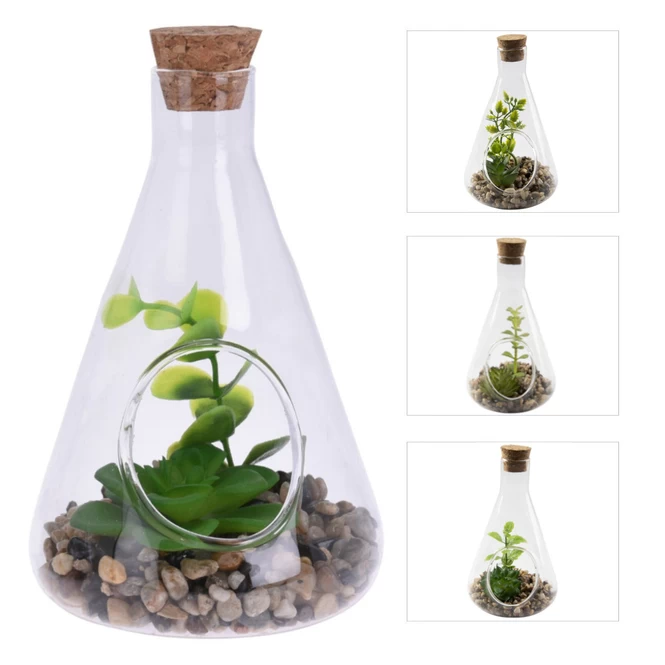 Sukkulente In Vase - Ca. 9 X 14 Cm - 1 Stück 3 Sukkulente In Vase - Ca. 9 X 14 Cm - 1 Stück – Bild 3