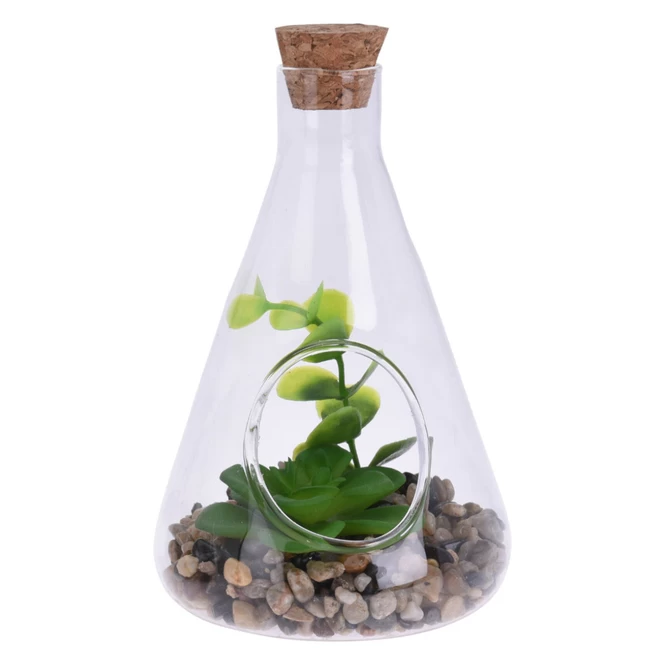 Sukkulente In Vase - Ca. 9 X 14 Cm - 1 Stück 1 Sukkulente In Vase - Ca. 9 X 14 Cm - 1 Stück