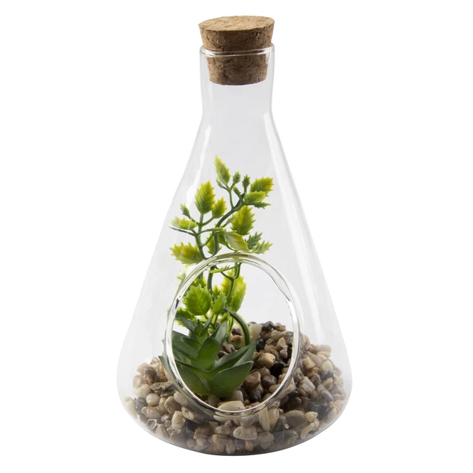 Sukkulente In Vase - Ca. 9 X 14 Cm - 1 Stück 4 Sukkulente In Vase - Ca. 9 X 14 Cm - 1 Stück – Bild 4