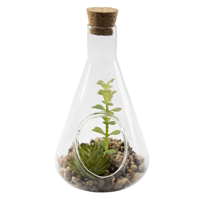 Sukkulente In Vase - Ca. 9 X 14 Cm - 1 Stück 2 Sukkulente In Vase - Ca. 9 X 14 Cm - 1 Stück – Bild 2