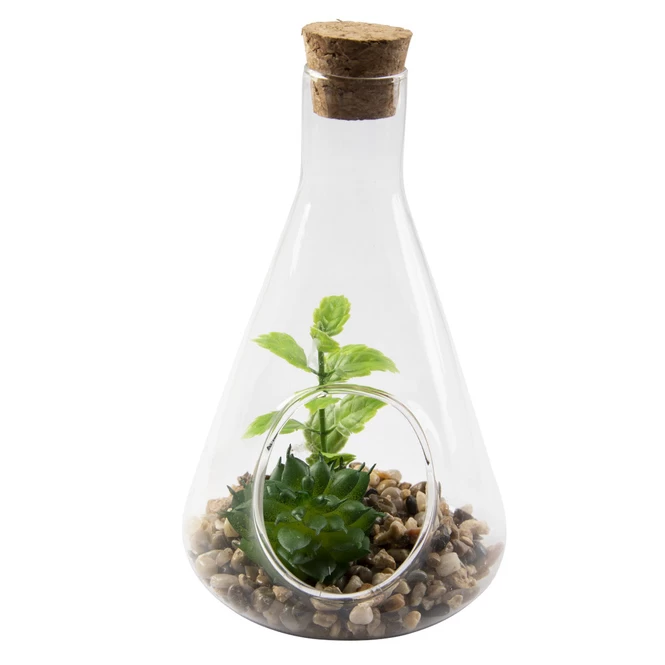 Sukkulente In Vase - Ca. 9 X 14 Cm - 1 Stück 6 Sukkulente In Vase - Ca. 9 X 14 Cm - 1 Stück – Bild 6