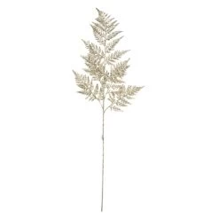 Farnzweig - Ca. 77 Cm