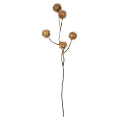 Kastanienzweig - Ca. 52 Cm