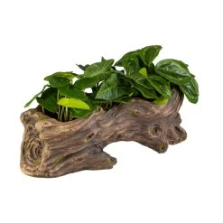 Pflanztopf Ast - Aus Magnesia - Ca. 47 X 23 X 22 Cm