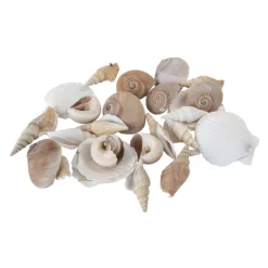 Streudeko - Muscheln - 1 Beutel -Keeeper Store 235795 3 neu