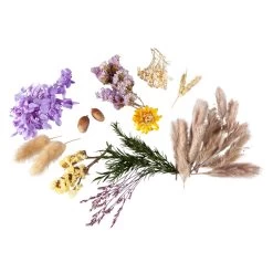 Streudeko - Trockenblumen - Braun