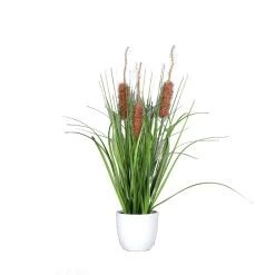 Gras Fruchtstand - Braun - Ca. 48 Cm