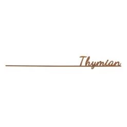 Gewürzstecker Thymian - Aus Metall - Ca. 30 X 3 Cm