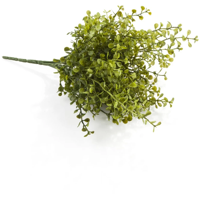 Buchsbaumzweig - 28 Cm 2 Buchsbaumzweig - 28 Cm – Bild 2